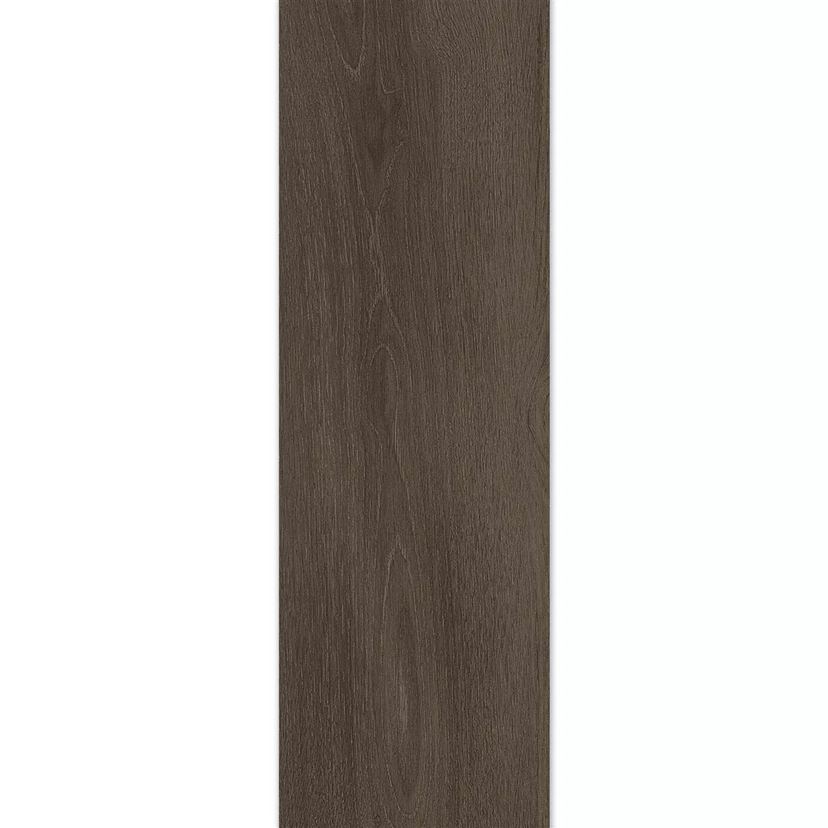 Gresie Regina Aspect De Lemn 20x120cm Cacao