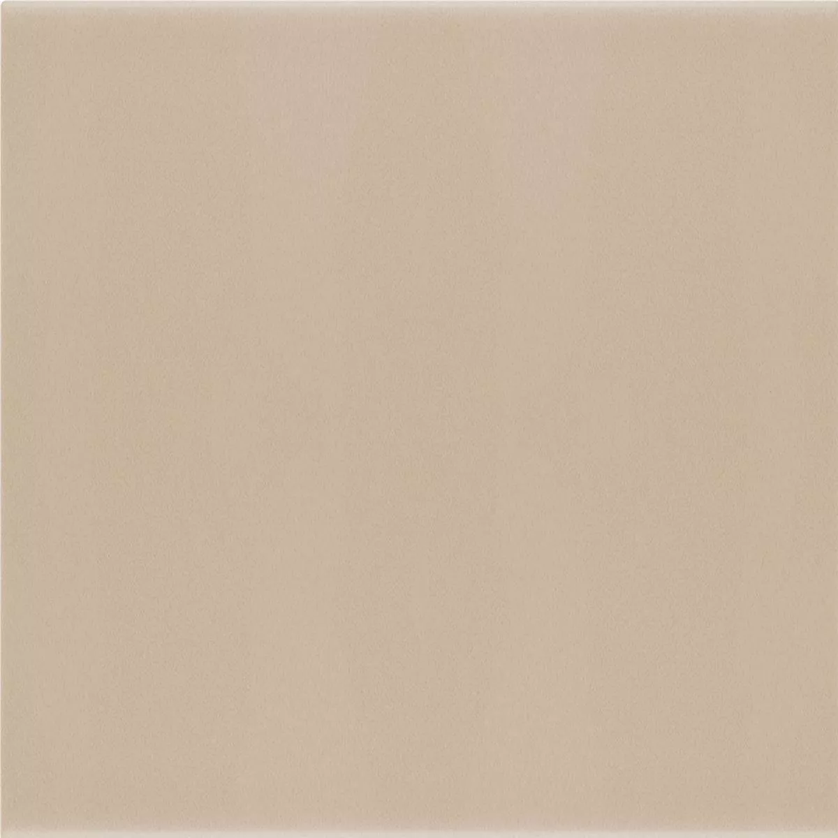 Plăci Ceramice Pentru Pereti Belluno Pastell Taupe 12,4x12,4cm