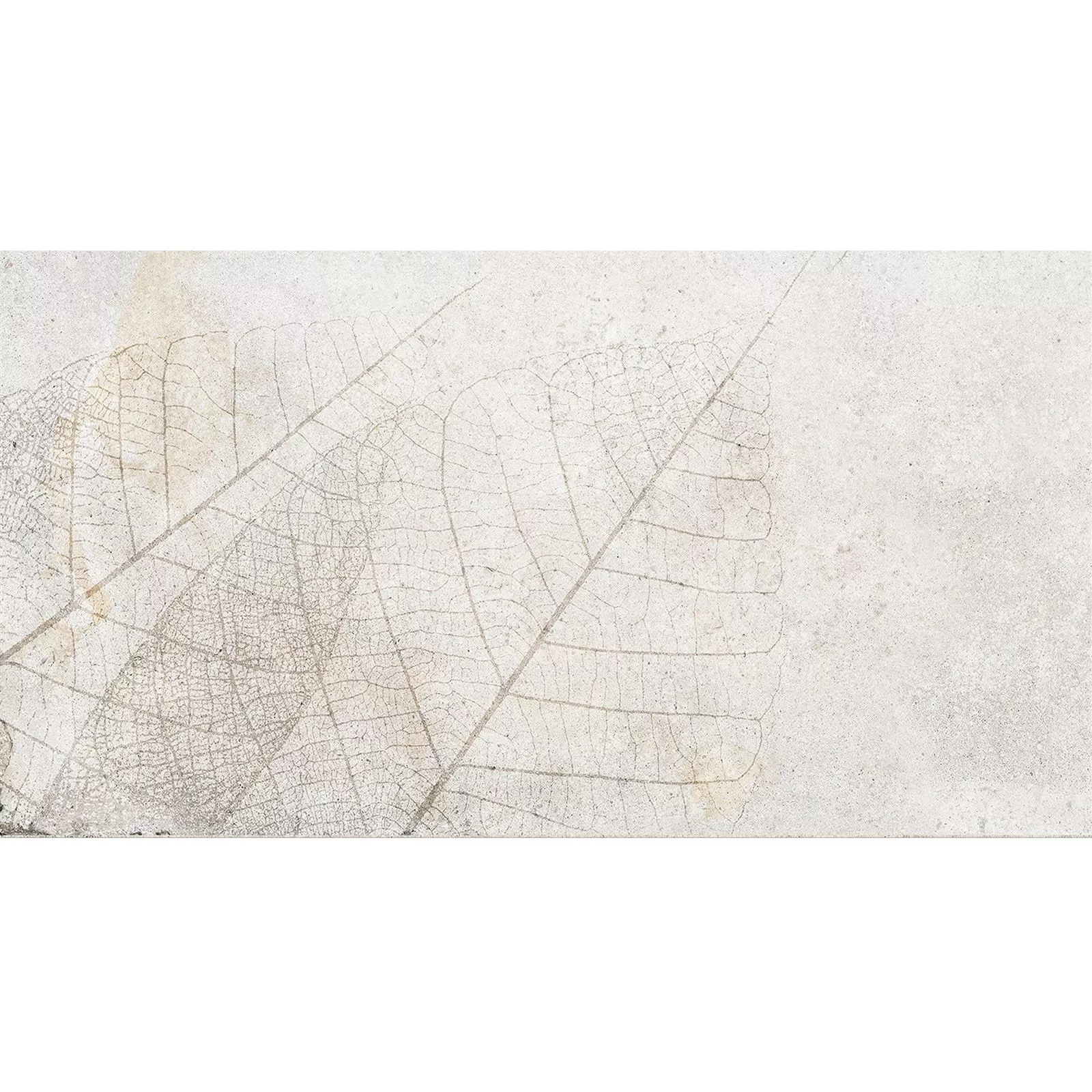 Plăci Ceramice Pentru Pereti Attila Gri Rectificat Decor 3 30x60cm Plăci Ceramice Pentru Pereti Attila Gri Rectificat Decor 3 30x60cm