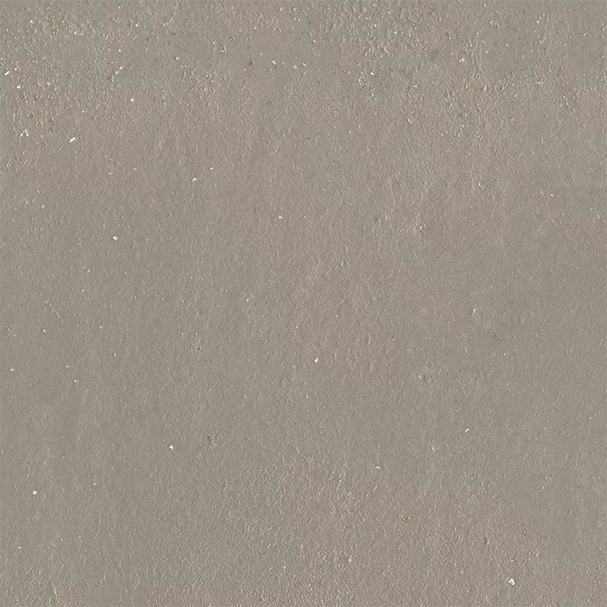 Gresie Malibu Aspect de Beton Taupe 60x60cm