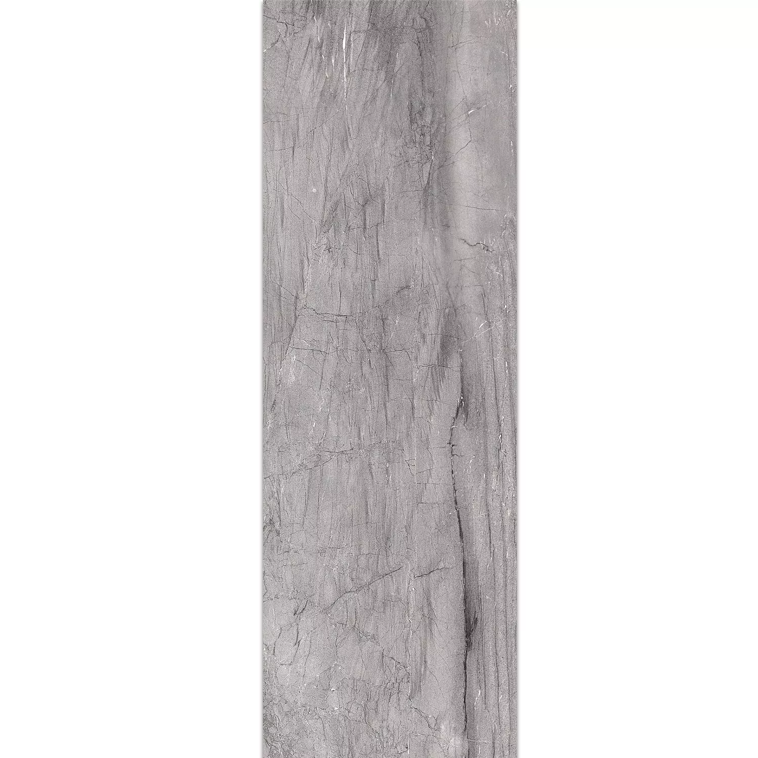 Plăci Ceramice Pentru Pereti Capitol Grey 25x75cm