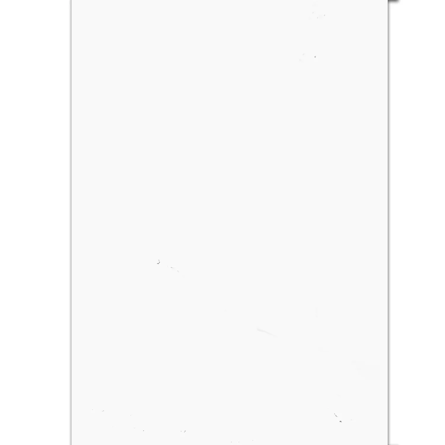 Plăci Ceramice Pentru Pereti Athlet Alb Înghețată 60x120cm