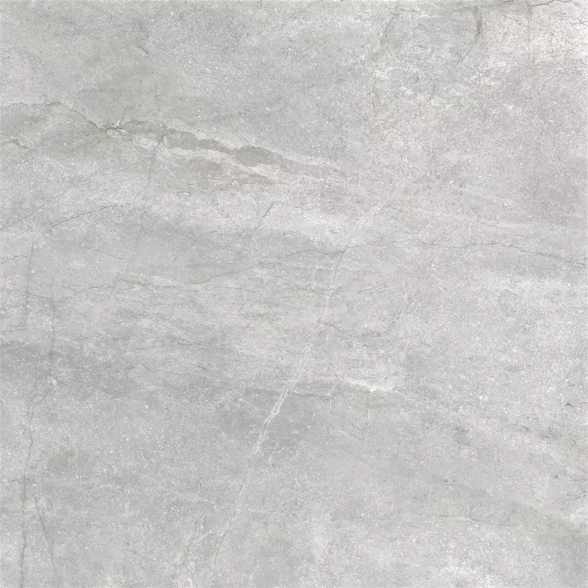 Gresie Pangea Aspect De Marmură Înghețată Argint 60x60cm