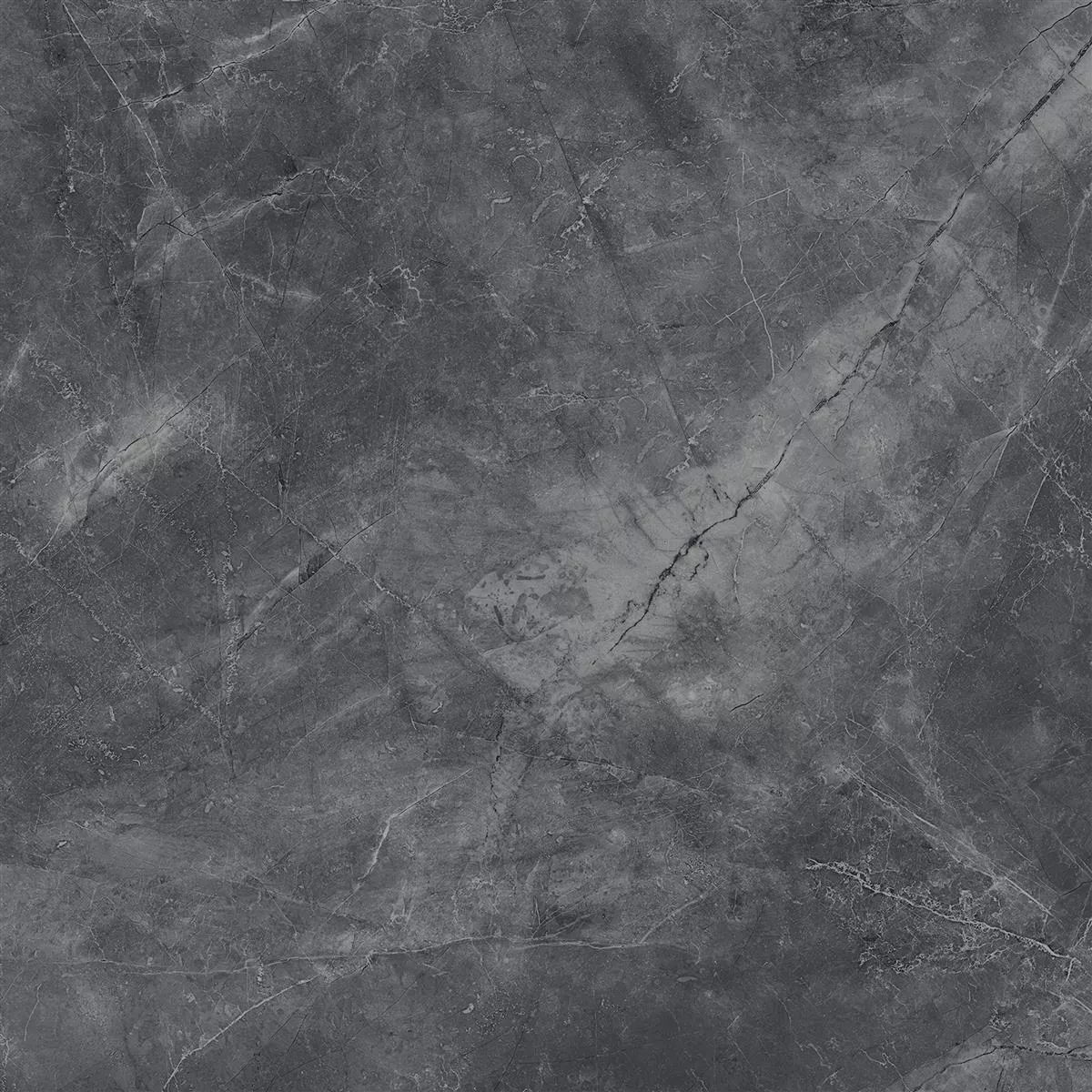 Angola Lustruit Negru 60x60 cm