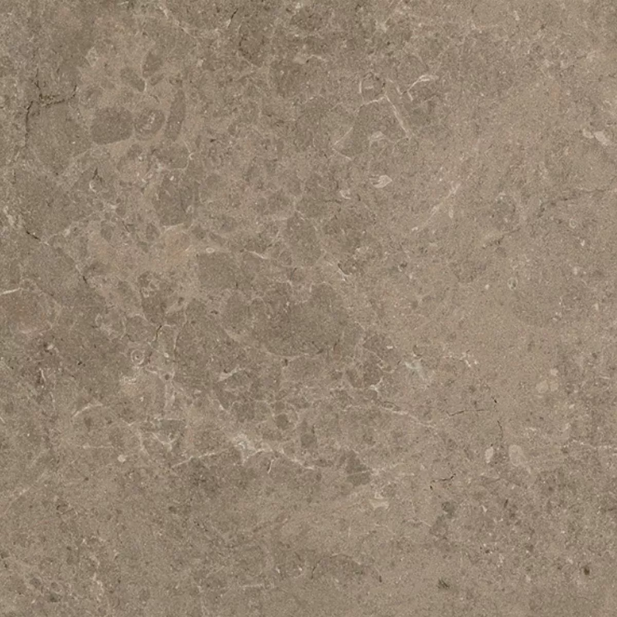 Plăci De Terasă Gresie Portelanata Arizona Taupe 60x60x2 cm