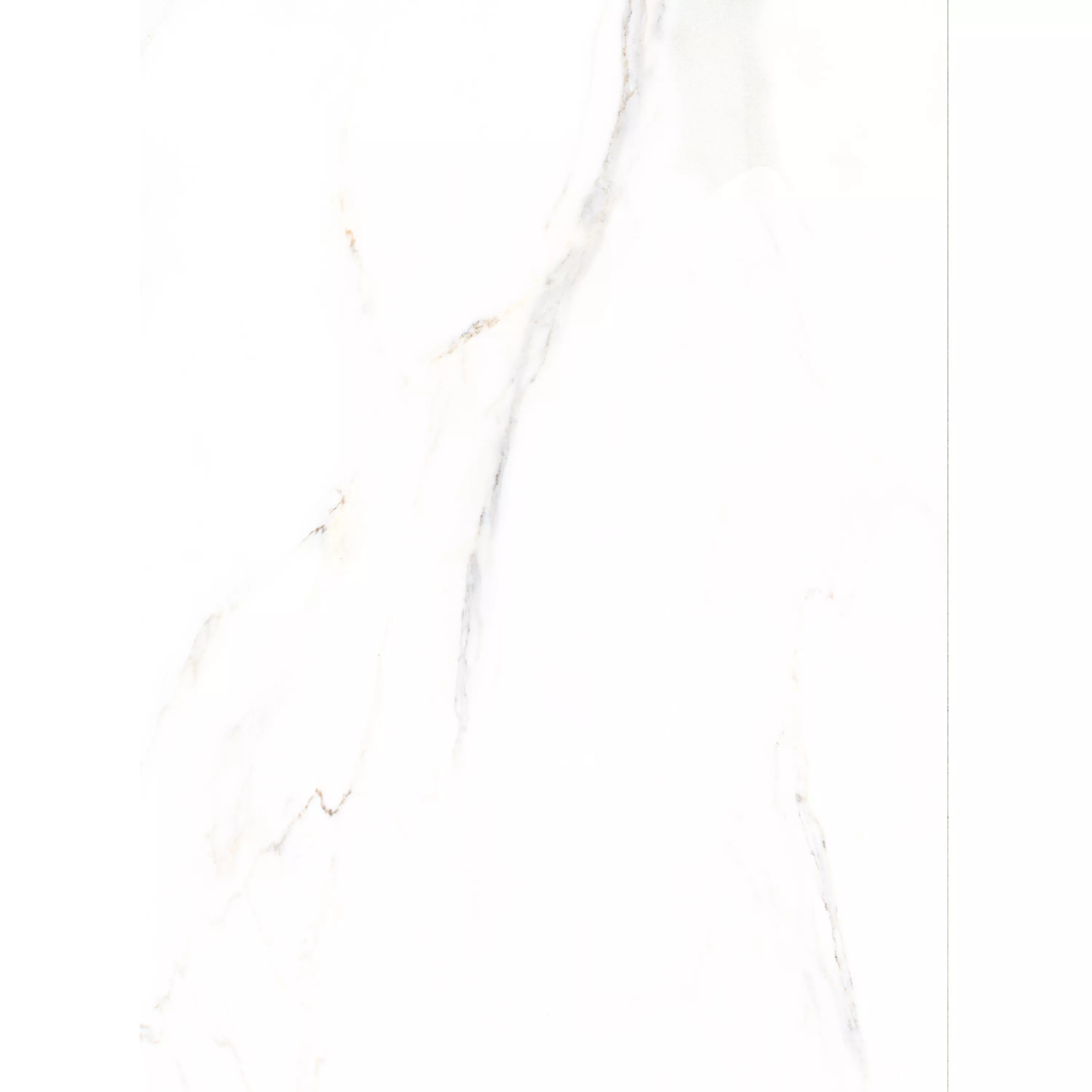 Gresie Rice Aspect De Marmură Calacatta Lustruit 58x118cm