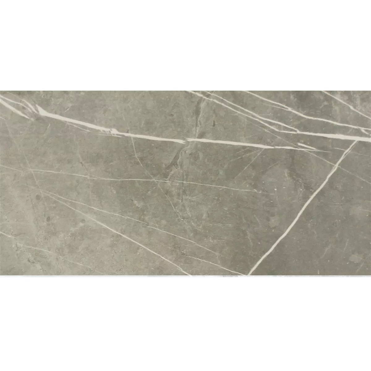 Model Gresie Astara Aspect De Piatră Naturală Lustruit Grey 30x60cm