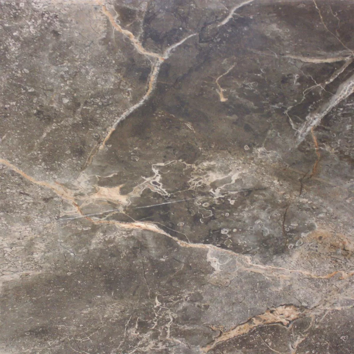 Gresie Aspect De Marmură Himalaya Maro Lustruit 60x60cm Gresie Aspect De Marmură Himalaya Maro Lustruit 60x60cm