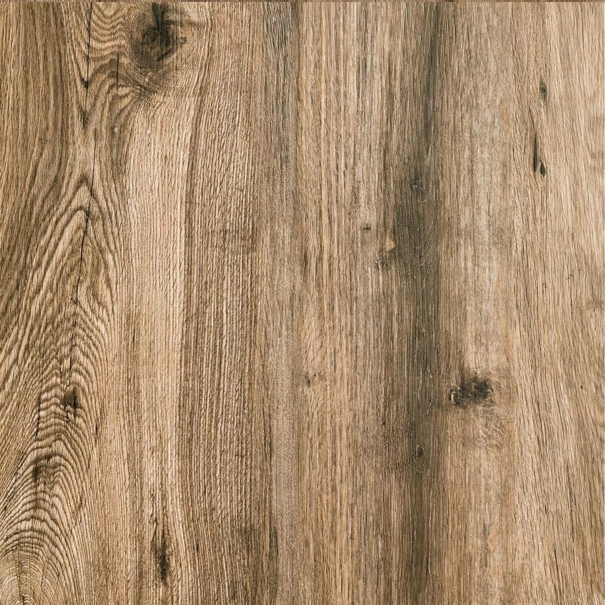 Plăci De Terasă Starwood Aspect De Lemn Oak 60x60cm