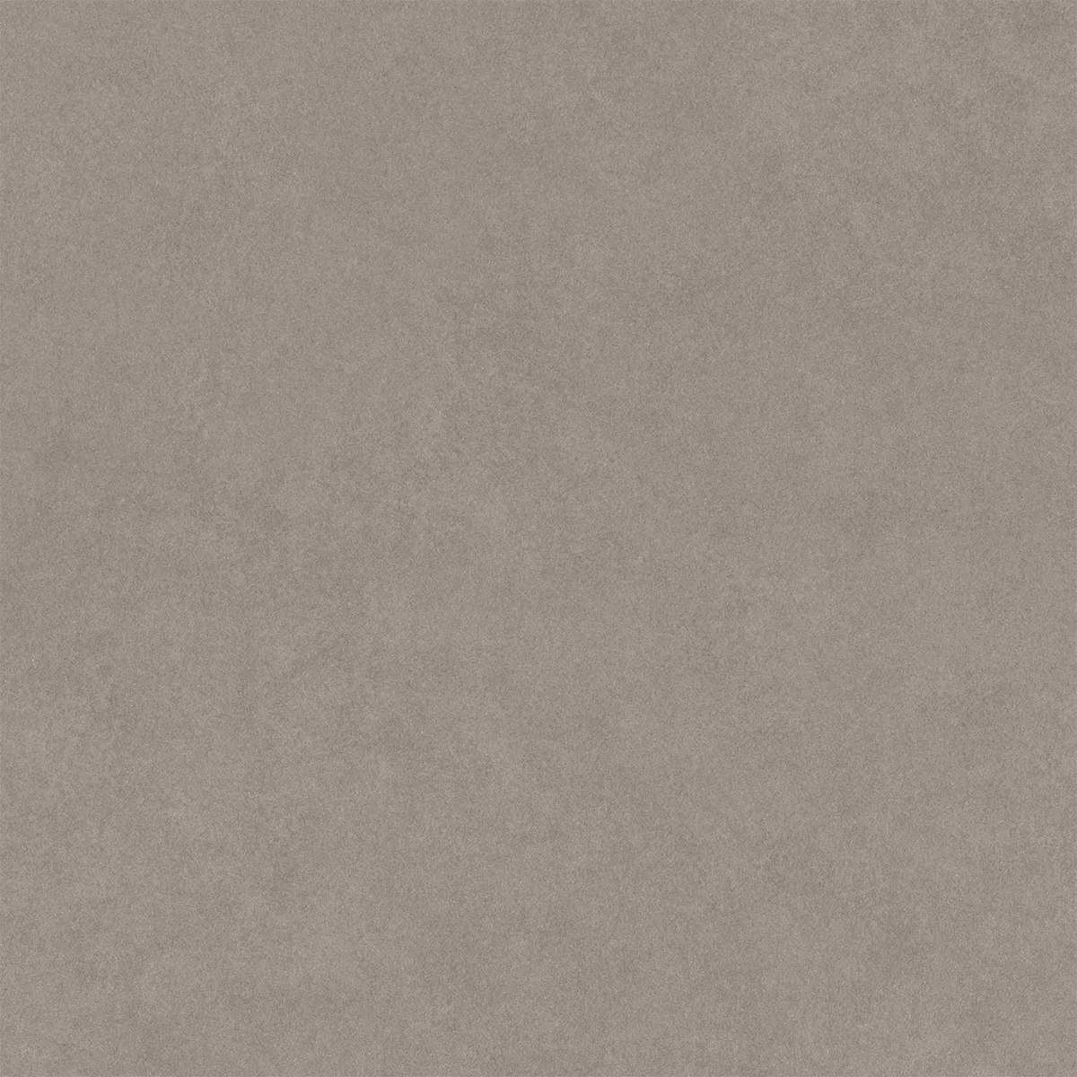 Kolossal Gri Deschis 60x60 cm