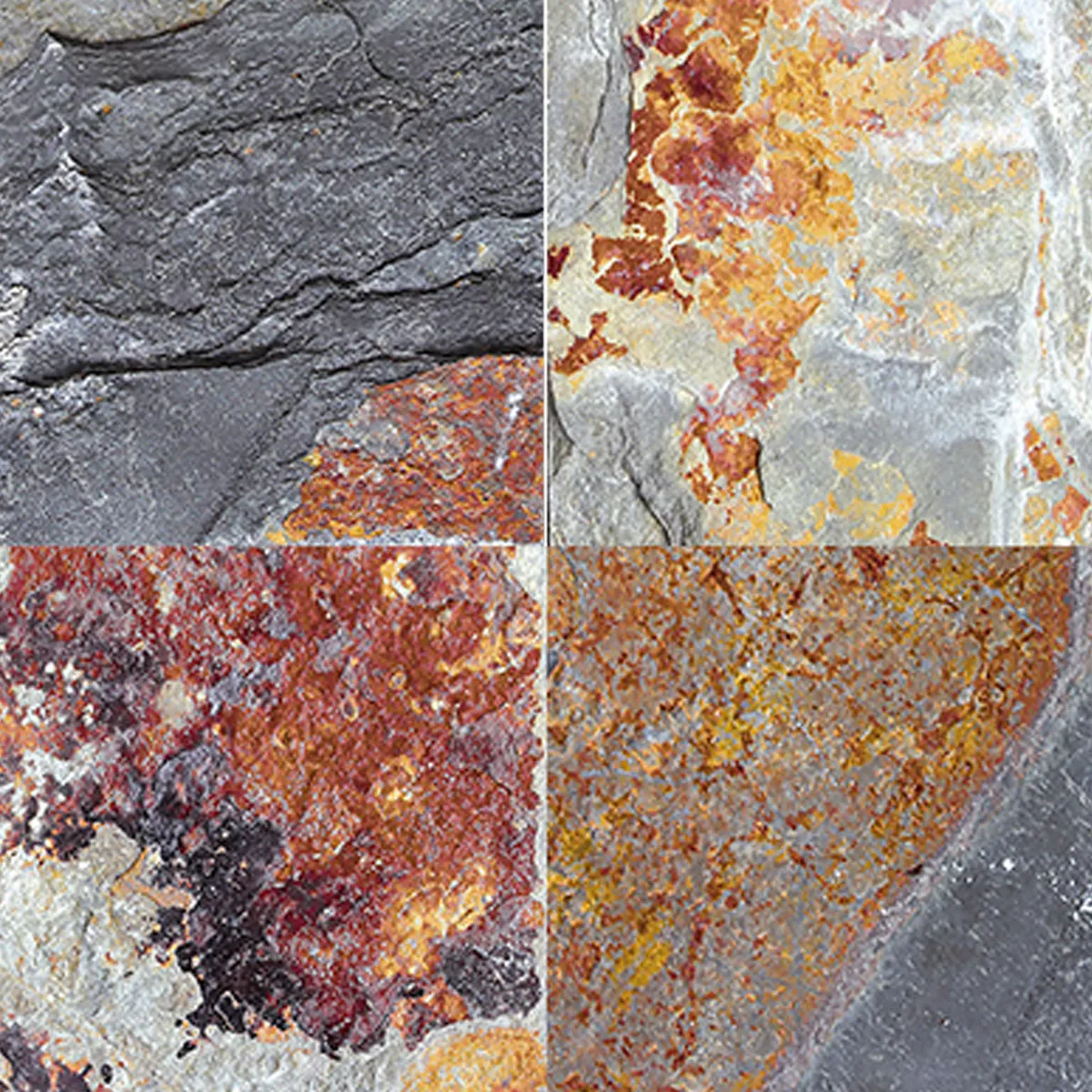 Gresie Portelanata Piscina Gresie Muskat 22,5x,22,5cm Gresie Portelanata Piscina Gresie Muskat 22,5x,22,5cm