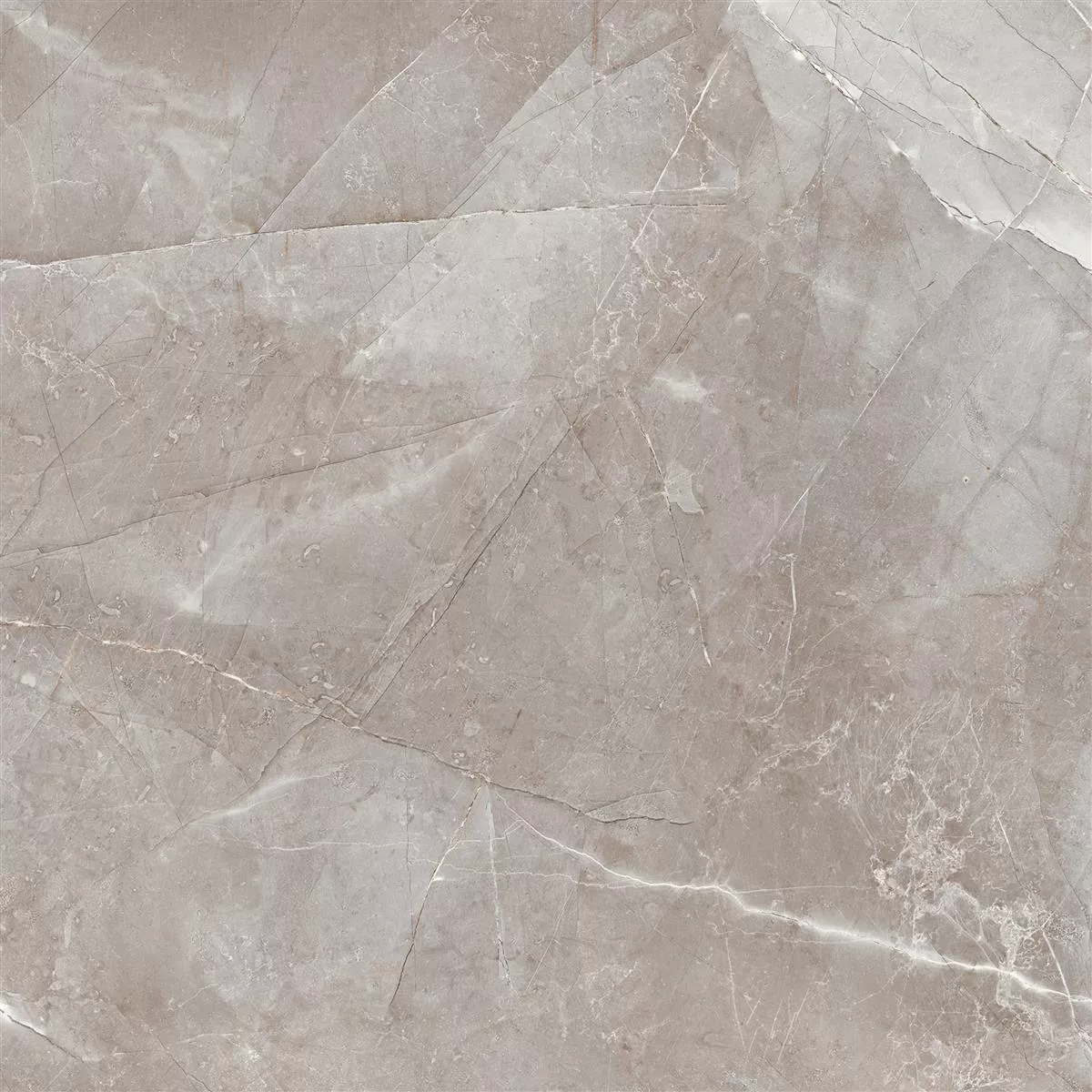 Gresie XXL Lowland Lustruit Gri Inchis 60x60cm Gresie XXL Lowland Lustruit Gri Inchis 60x60cm