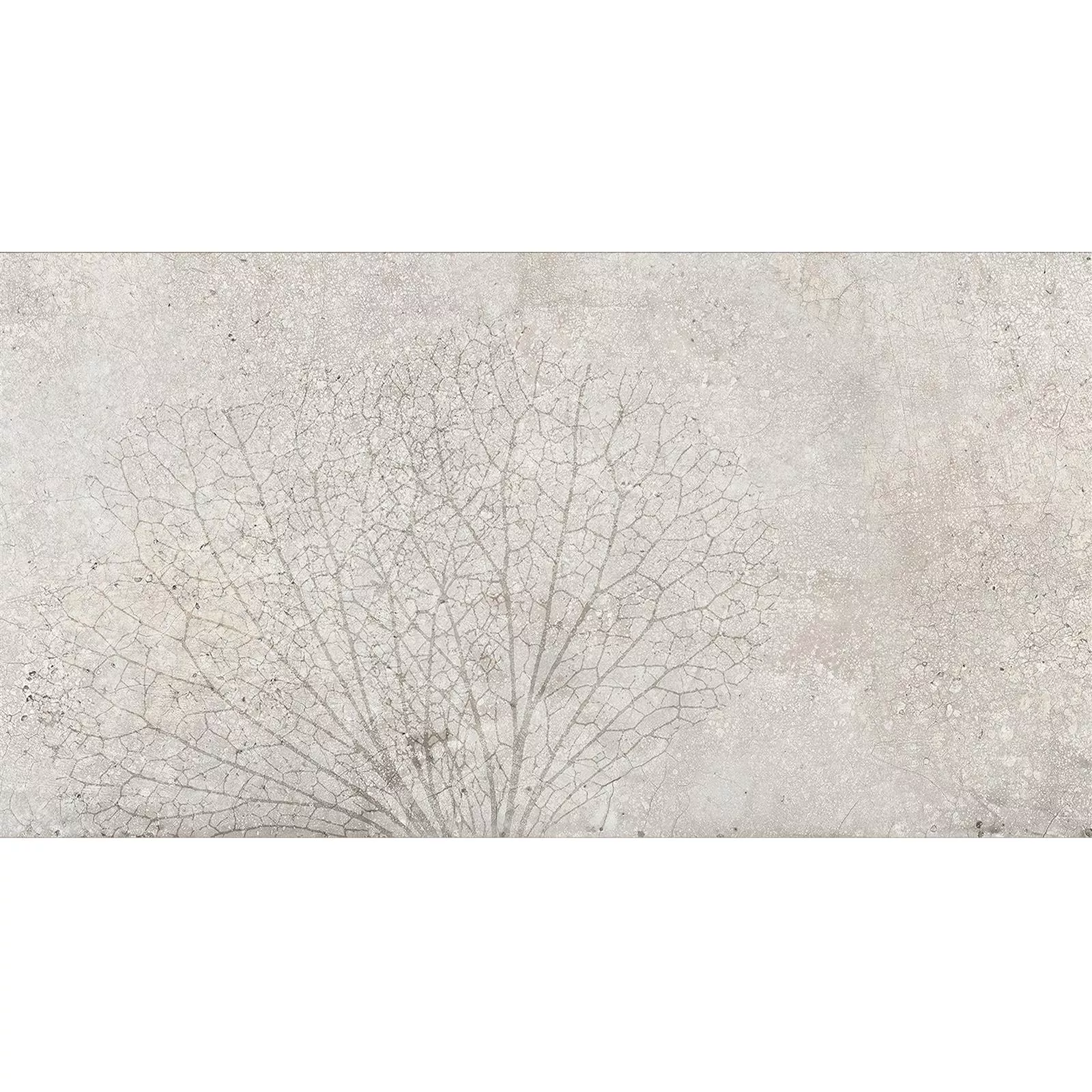 Plăci Ceramice Pentru Pereti Attila Gri Rectificat Decor 1 30x60cm Plăci Ceramice Pentru Pereti Attila Gri Rectificat Decor 1 30x60cm