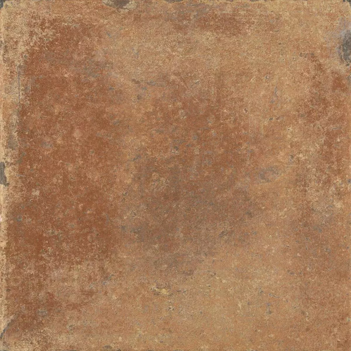 Queens Teracotă Maro Inchis 25x25 cm